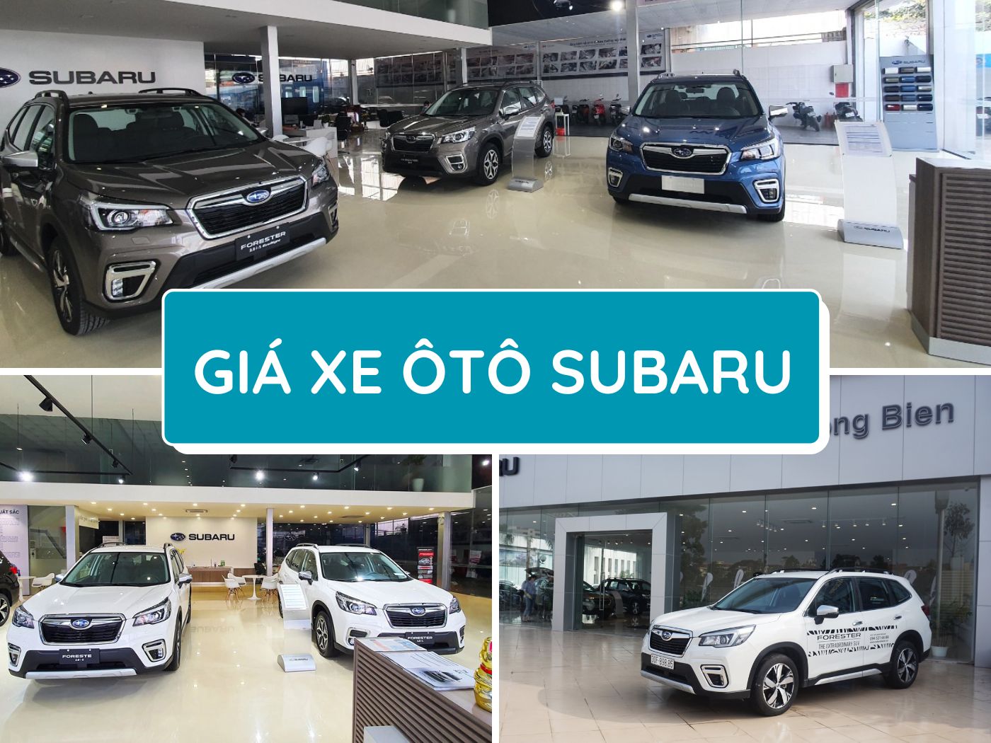 Bảng giá xe ô tô Subaru mới nhất